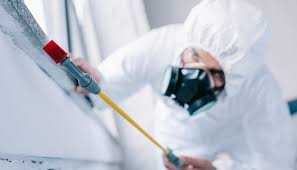 Best Real Estate Pest Inspections  in Pleasantville, NJ